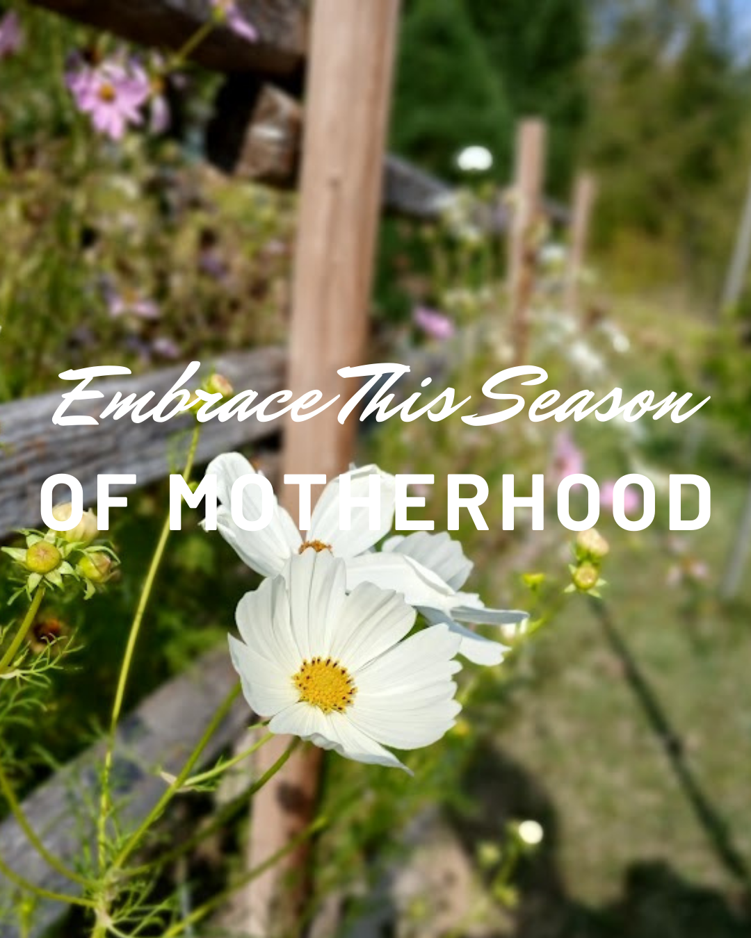 A Season Quickly Passing: A Mother’s Poem