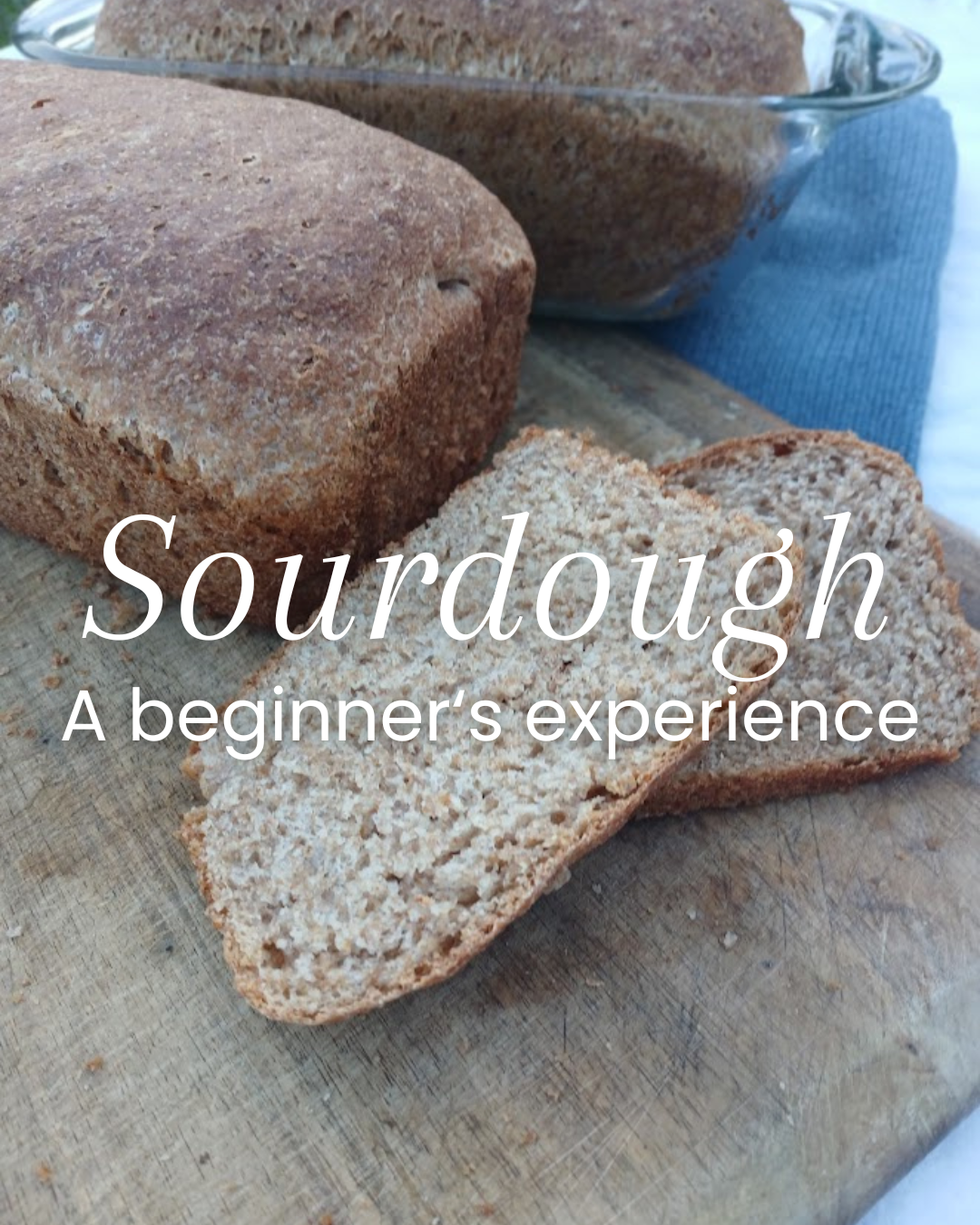 Sourdough: My Experience, Recipes I’ve Used, and Lessons I’ve Learned