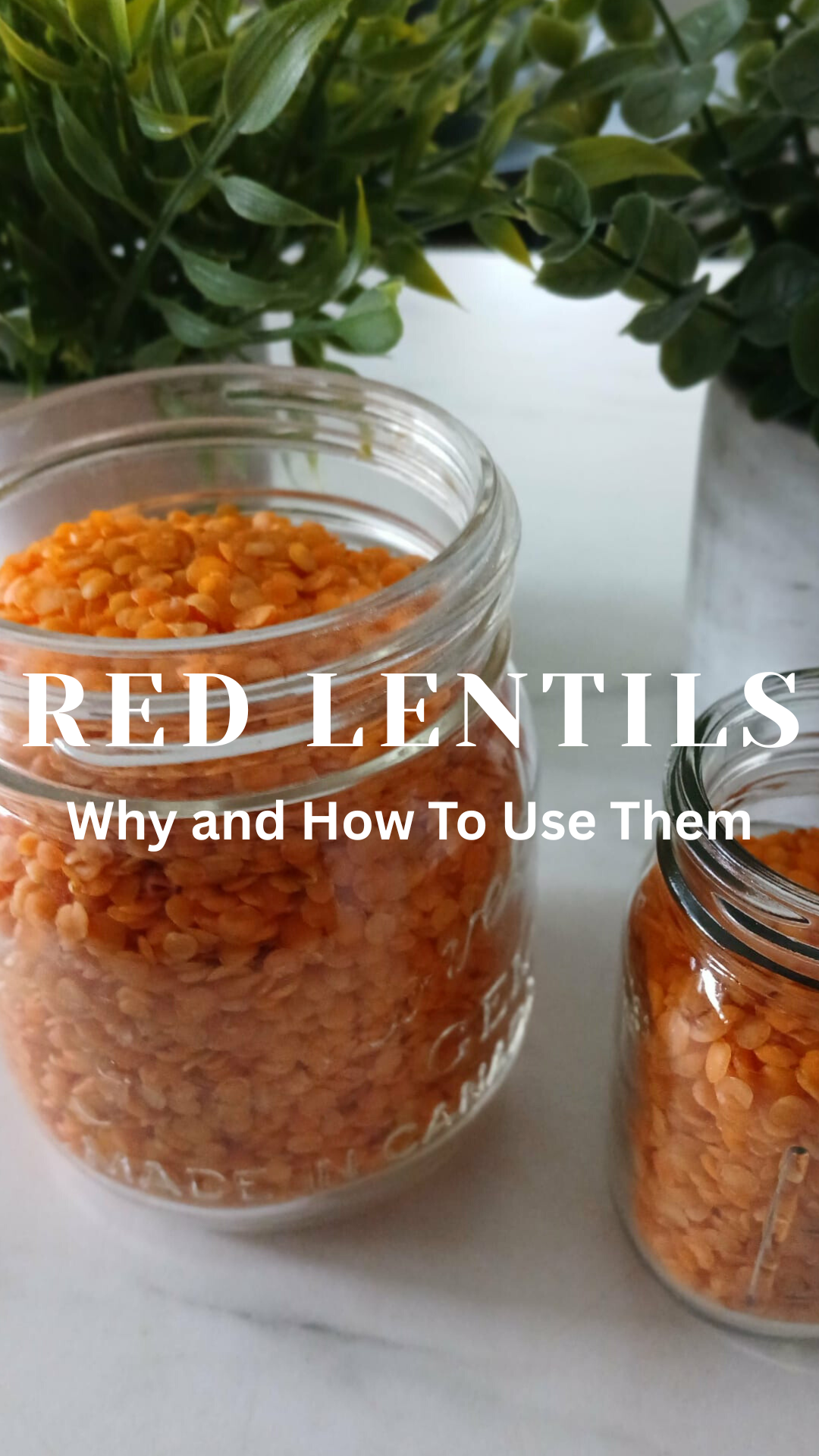 Red Lentils: Why and How You Should Use Them In Your Cooking