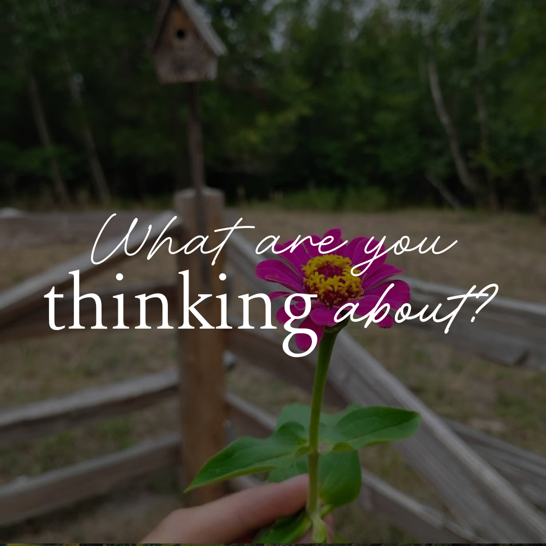 Take Control Of Your Thoughts: How Moms Can Walk In Victory In Their Minds