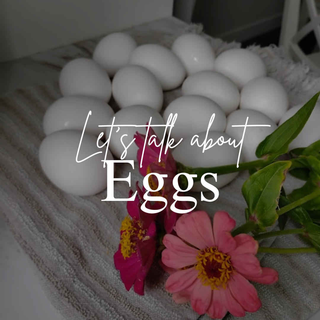 We Should Eat More Eggs: 15 Egg Recipe Ideas